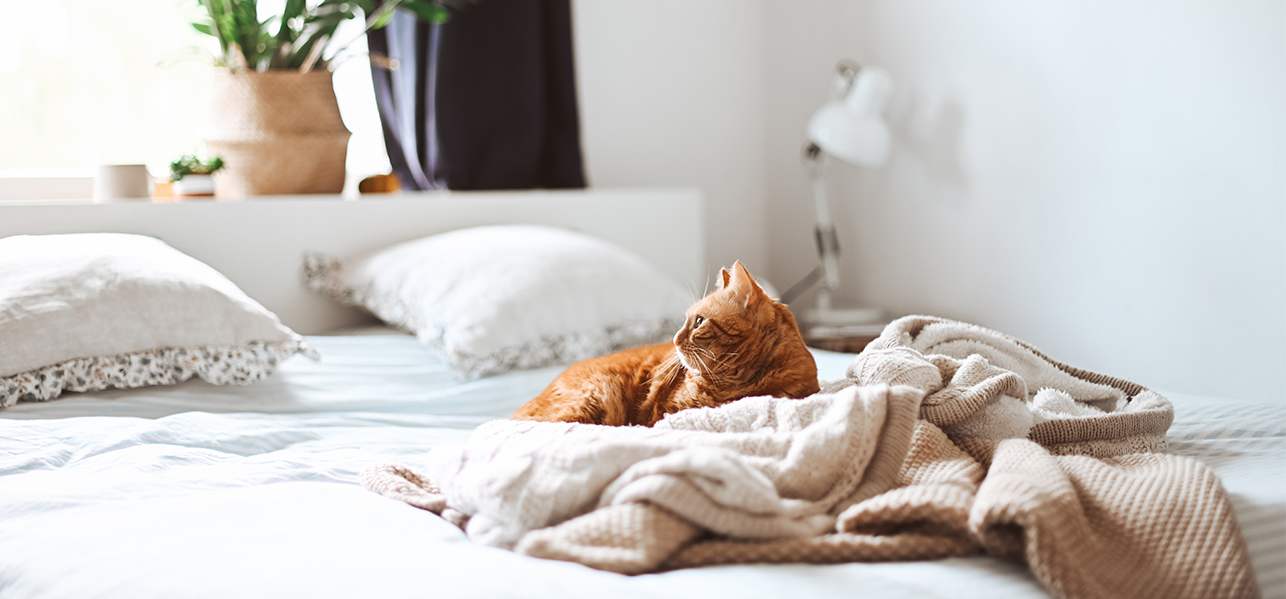 mantenere al meglio il materasso