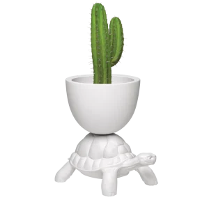 Qeeboo--Turtle-Carry-Planter-and-Champagne-Cooler--design-Marcantonio--01--white Qeeboo--Turtle-Carry-Planter-and-Champagne-Cooler--design-Marcantonio--01--white